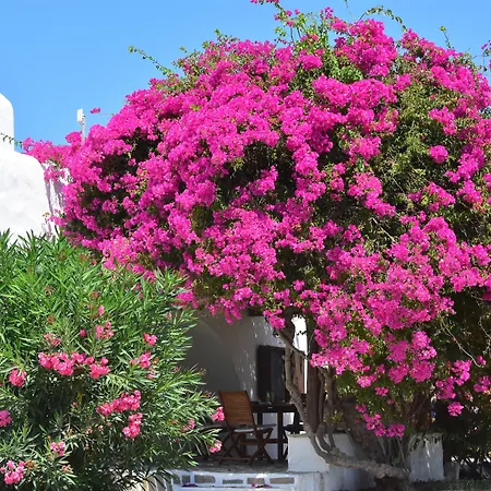 Appart hôtel Petra Village Chora d'Ios