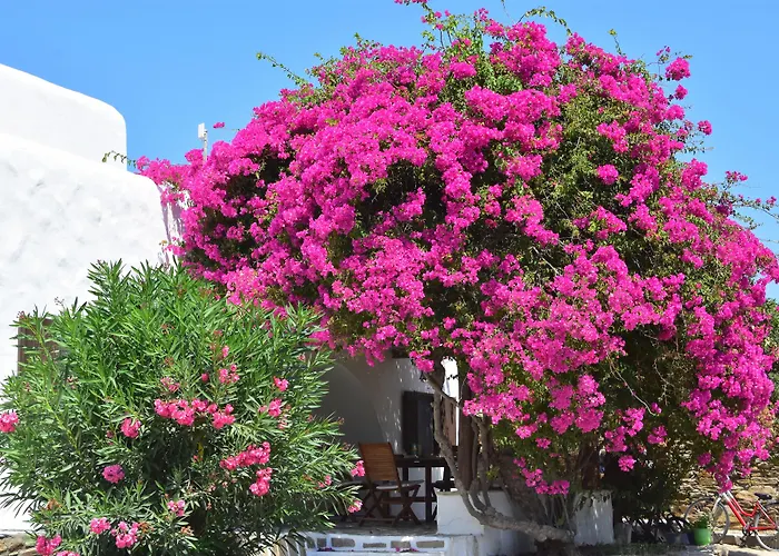 Aparthotel Petra Village Chora (Ios)