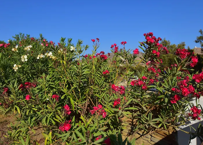 Petra Village Aparthotel Chora (Ios)