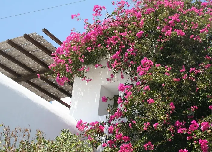 Petra Village 3* イオス島 チョーラ